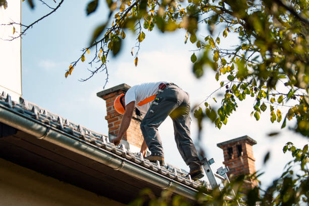 Best Chimney Flashing Repair  in Rustburg, VA